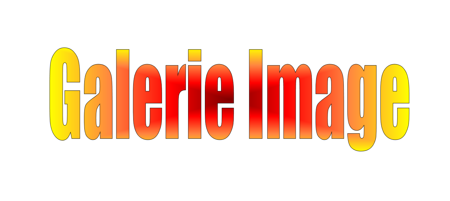Galerie d'image